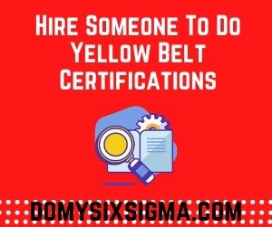 Hire Someone To Do Yellow Belt Certifications